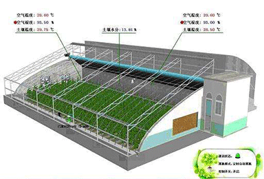 物聯網卡應用，移動物聯網卡、電信物聯網卡、聯通物聯網卡用于智慧農業的應用案例
